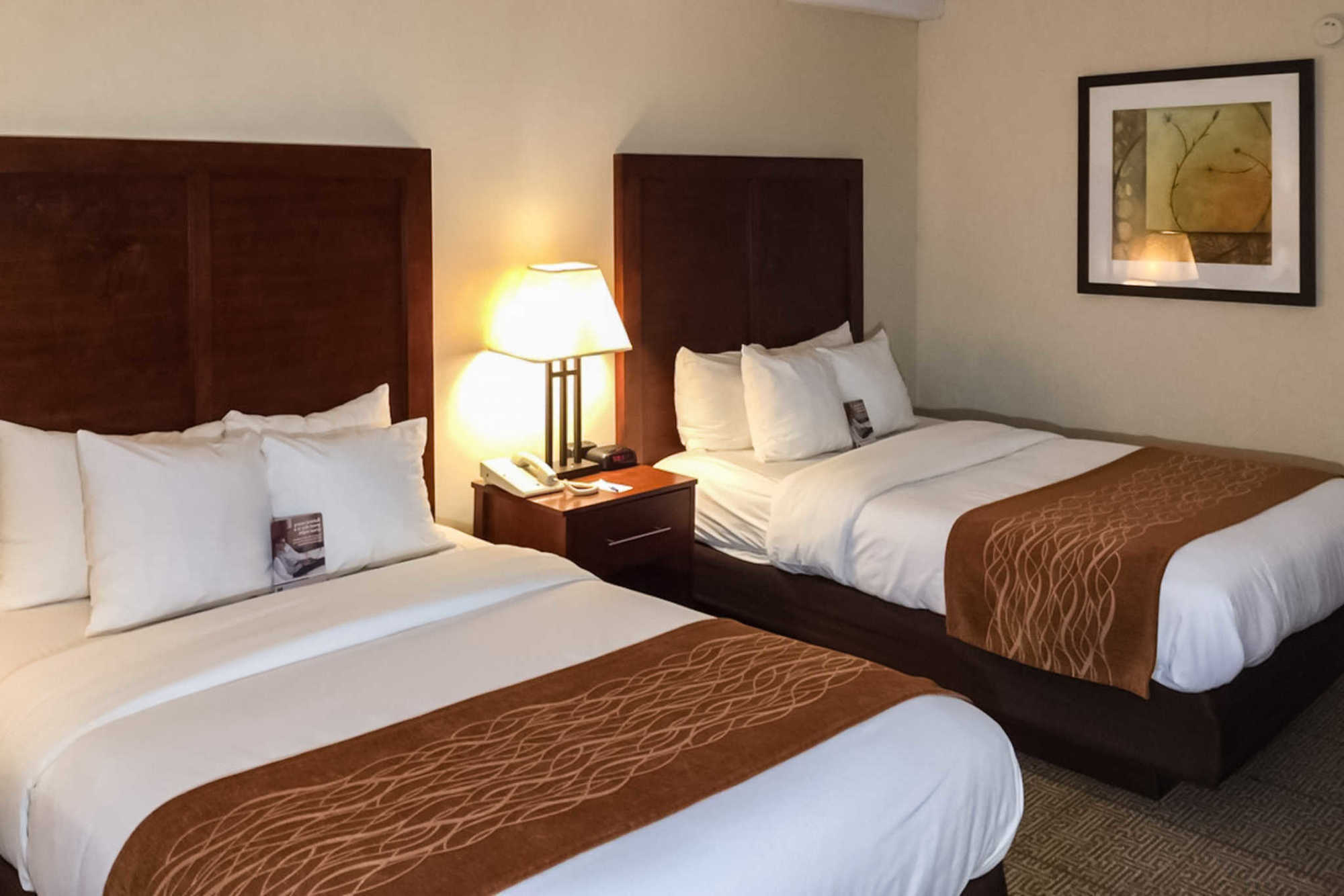 Comfort Inn Conference Center Bowie Kamer foto