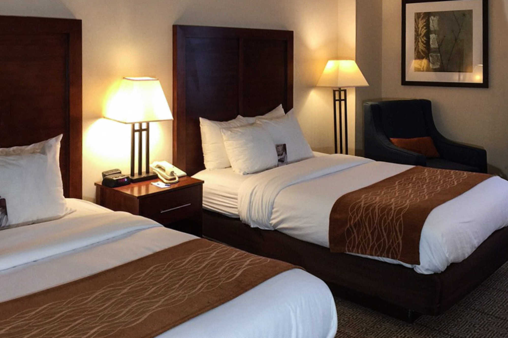 Comfort Inn Conference Center Bowie Kamer foto