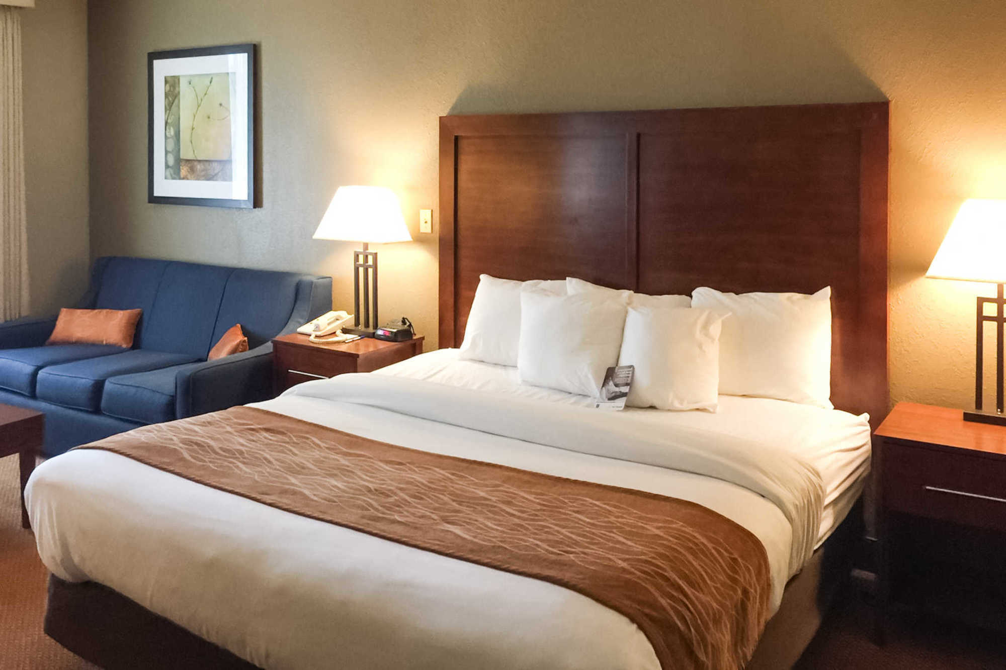 Comfort Inn Conference Center Bowie Kamer foto